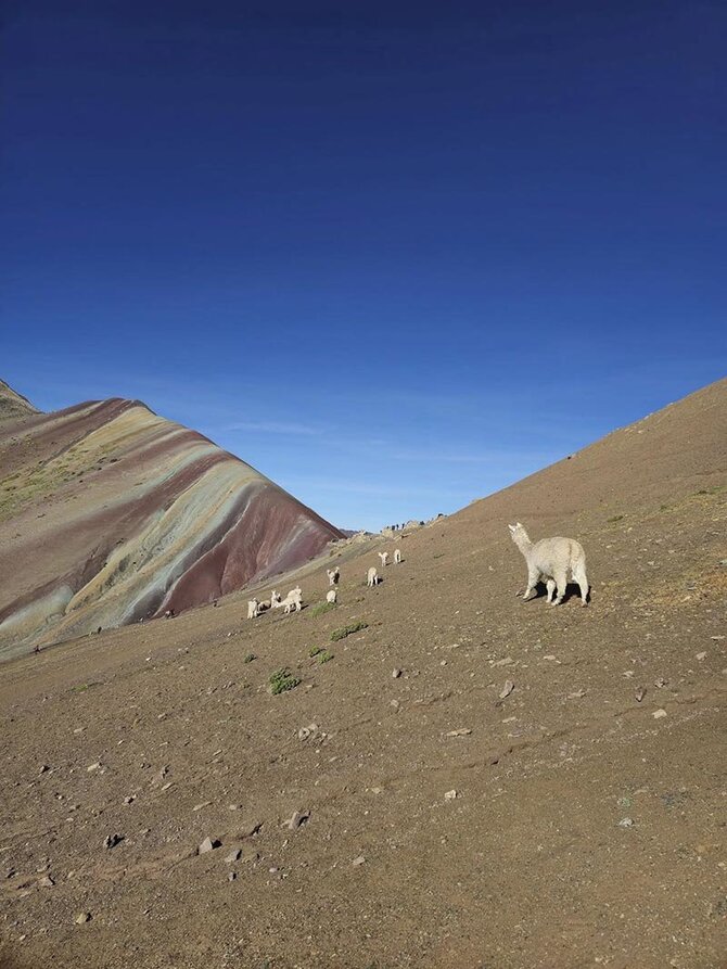 Asmeninio archyvo nuotr. / Peru