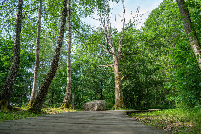 Vilniaus rajono savivaldybės archyvo nuotr. / Neries regioninis parkas