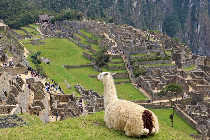 Shutterstock nuotr. / Maču Pikču, Peru