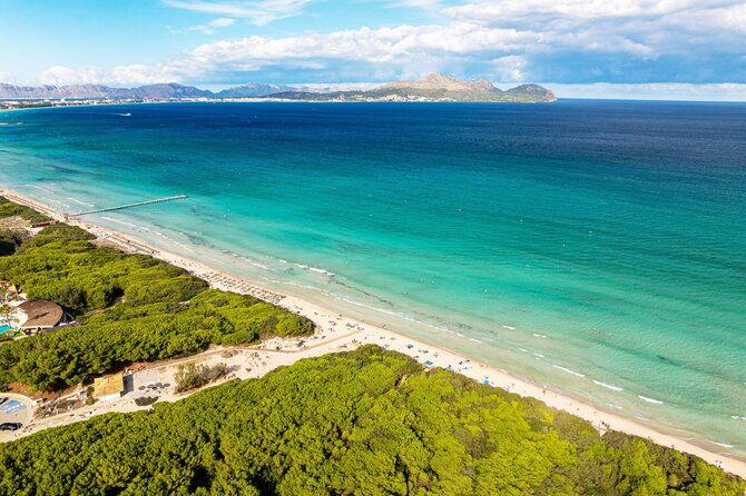 Shutterstock nuotr. / Playa de Muro paplūdimys Maljorkoje, Ispanija