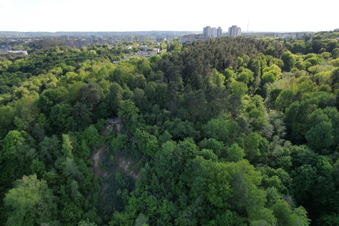 Dzūkijos-Suvalkijos saugomų teritorijų direkcijos nuotr. / Karoliniškių kraštovaizdžio draustinis
