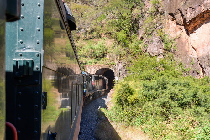 Shutterstock nuotr. / „Chepe Express“ traukinys