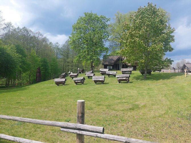 Tomo Juknevičiaus nuotr. / Stripeikių bitininkystės muziejus