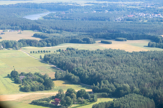 Jono Balčiūno nuotr. / Pociūnai