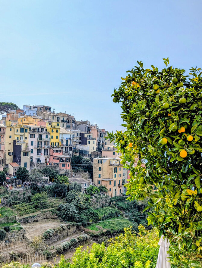 Valdo Pryšmanto nuotr. / Cinque Terre regionas, Italija