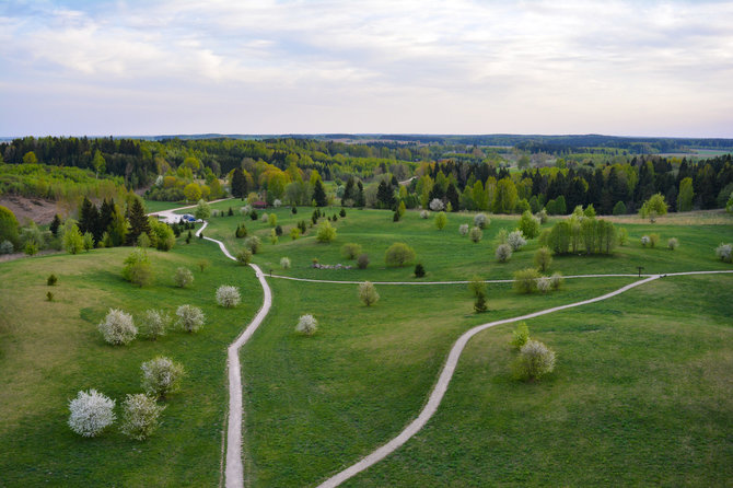 Ados Alejūnaitės / 15min nuotr. / Panorama nuo Šiaulės apžvalgos bokšto pavasarį