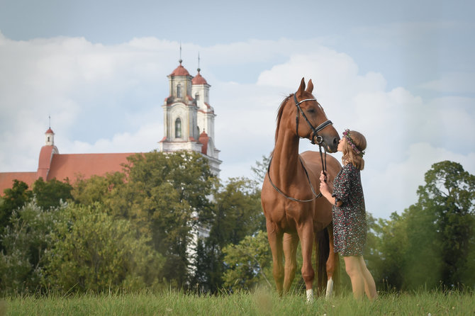 Šiaulių TIC / Šiaulių r. TVIC nuotr. / Gyvojo žirgo muziejus Kurtuvėnuose