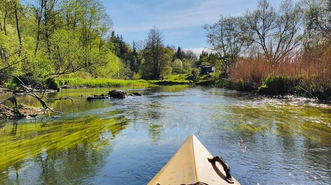 Foto del porto di Strėva Kayak.  / Porto per kayak di Streva