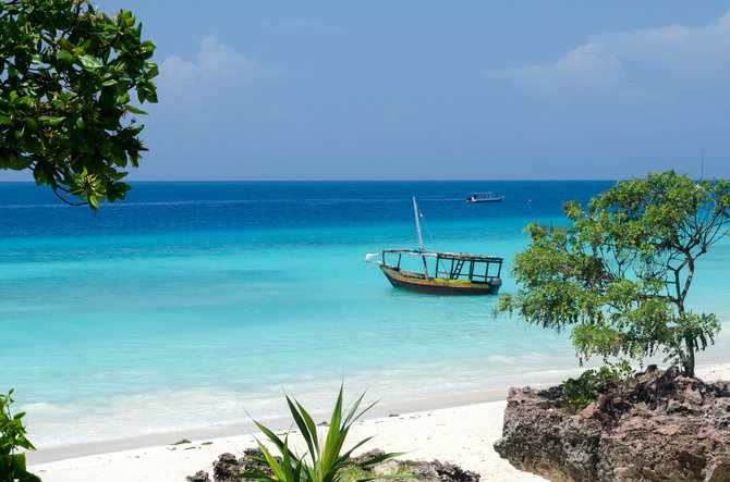 123RF.com nuotr. / Zanzibaras 