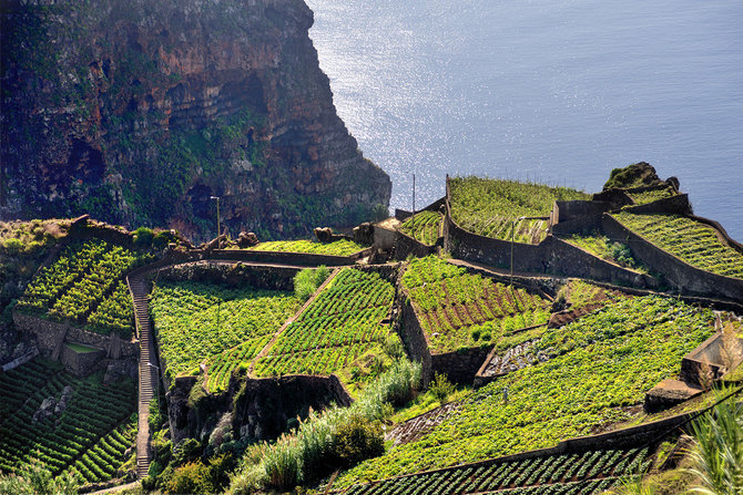 Promotion Bureau nuotr. / Madeira 