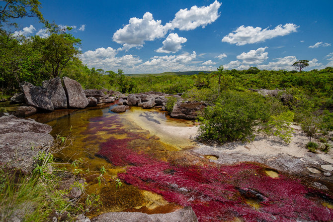 Vida Press nuotr. / Vaivorykštės spalvų upė Kolumbijoje