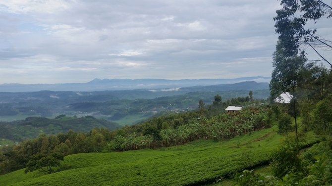 Asmeninio archyvo nuotr. / Ruanda 