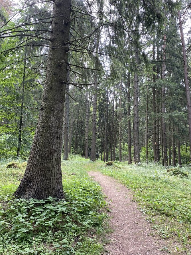 Aušrinės Šėmienės nuotr. / Sirvėtos regioninio parko Mitologinis takas