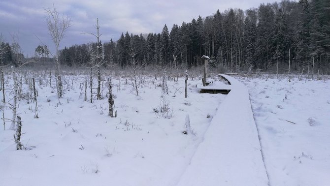 Mindaugo Kirstuko nuotr. / Dubravos rezervatinės apyrubės pažintinis takas