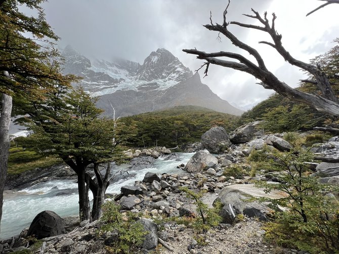 Asmeninio archyvo nuotr. / Patagonija, Čilė