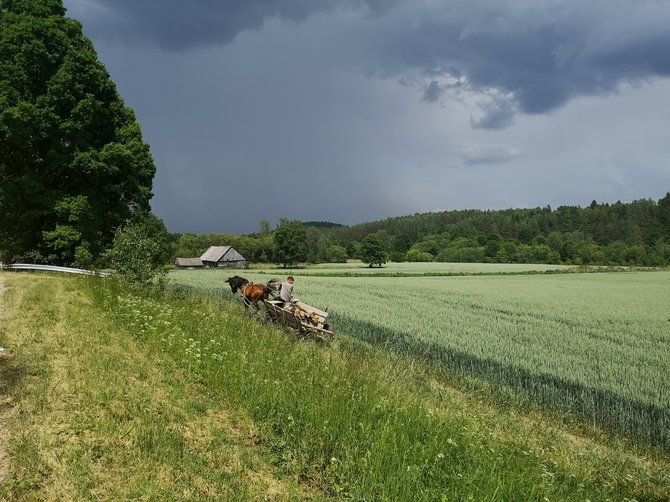 Tytuvėnų ir Dubysos regioninių parkų nuotr. / Dubysos slėnis