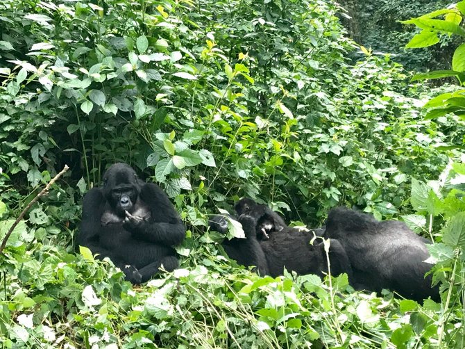 Mykolo Vadišio nuotr. / Uganda