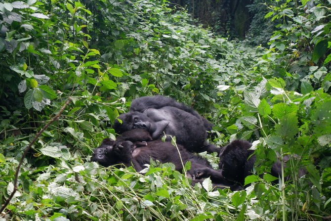 Mykolo Vadišio nuotr. / Uganda