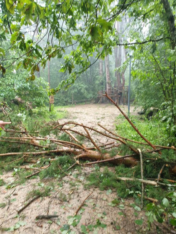 Per audrą parke buvusio Donato nuotr. / Latvijos valstybinių miškų gamtos parkas Tervetėje