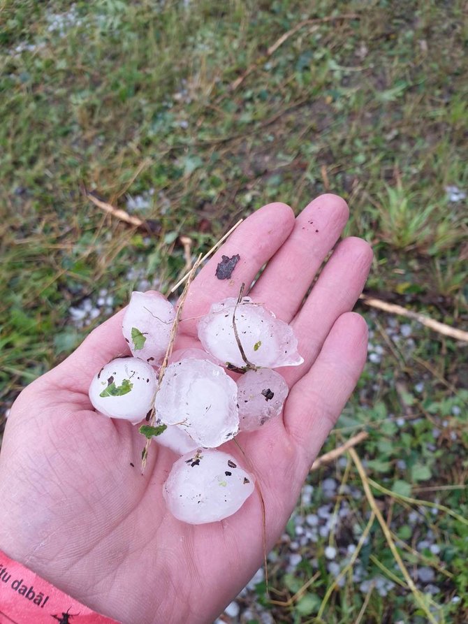 Per audrą parke buvusio Donato nuotr. / Latvijos valstybinių miškų gamtos parkas Tervetėje