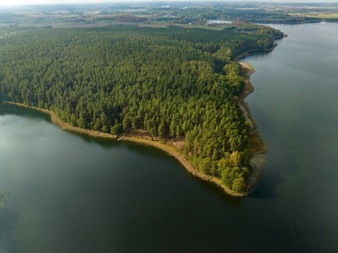 M.Semaškos nuotr. / 1 maršrutas. Pėsčiųjų takas Ančios ežero pakrante