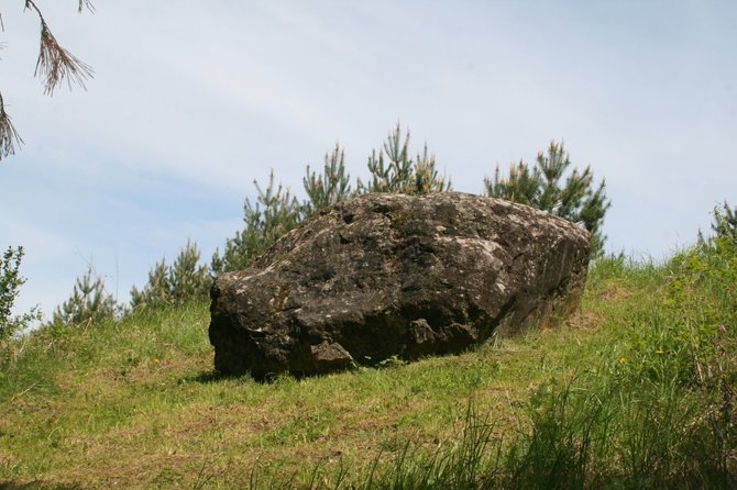 Artūro Pečkio nuotr. / Laumės akmuo