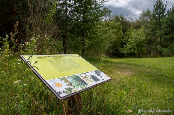 „Nesėdėk namuose“ nuotr. / Balsių pažintinis-botaninis takas