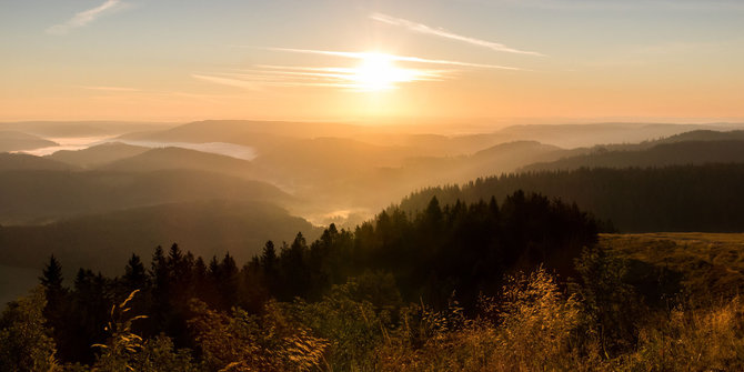 Pranešimo autorių nuotr. / Švarcvaldo juodasis miškas