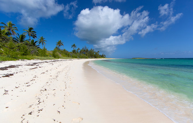 Shutterstock nuotr. / Ten Bay Beach, Elutera, Bahamos