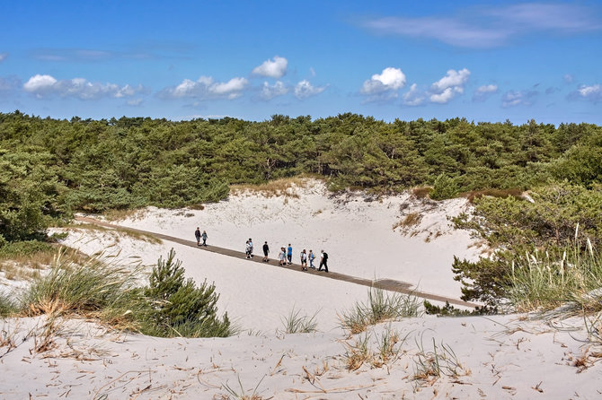 Shutterstock nuotr. / „Dueodde“ paplūdimys, Bornholmas, Danija