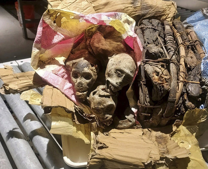 „Scanpix“/AP nuotr. / Oro uosto apsaugos šuo keleivio bagaže aptiko beždžionių mumijas