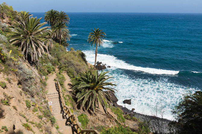 Shutterstock nuotr. / Castro paplūdimys, Tenerifė