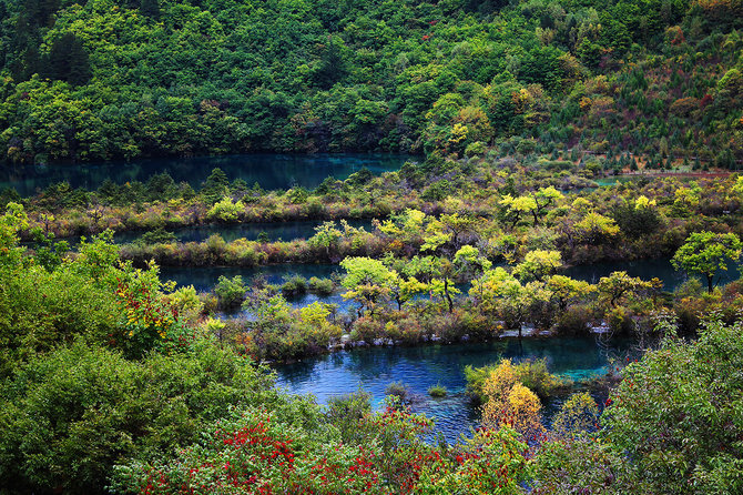 Asmeninio archyvo nuotr. / Dziudžaigou (Jiuzhaigou) nacionalinis parkas Kinijoje