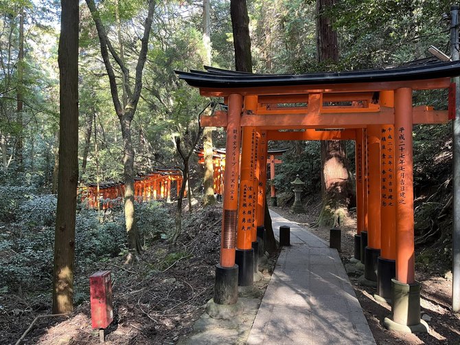 Asmeninio archyvo nuotr. / Fushimi Inari Taisha šventykla, Japonija