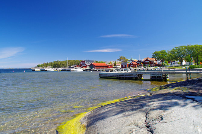 Shutterstock nuotr. / Sandionas, Švedija