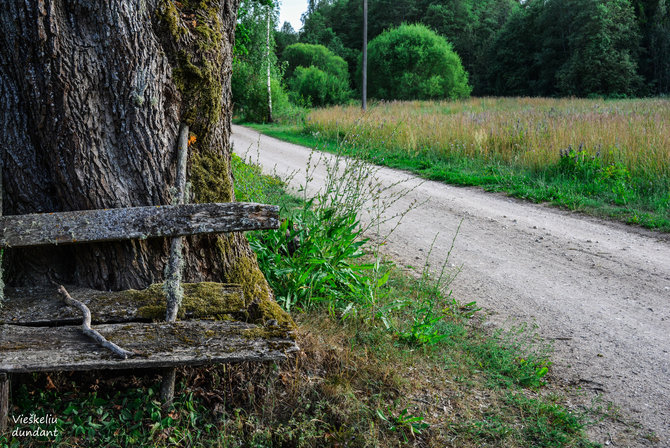 „Vieškeliu dundant“ nuotr. / Šiauriausias Lietuvos kaimas – Aspariškiai (Biržų r.)