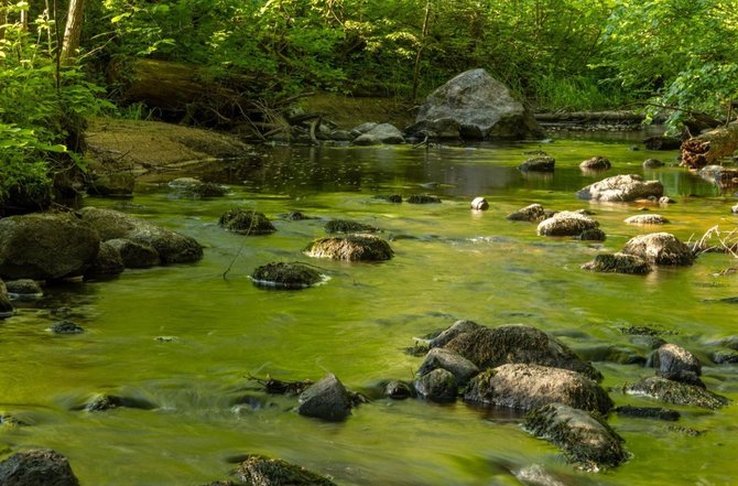 Aukštaitijos saugomų teritorijų direkcijos nuotr. / Sėlių šventtaktis