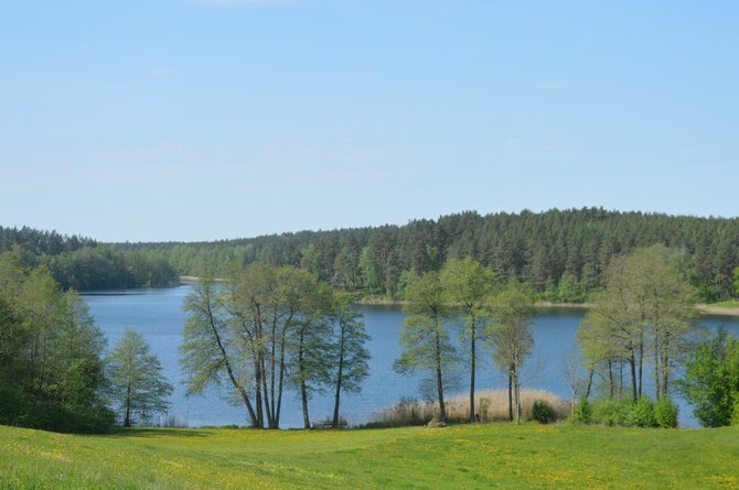 Pranešimo autorių nuotr. / Šlavantas