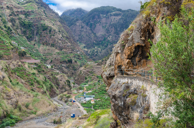 Shutterstock nuotr. / Madeira