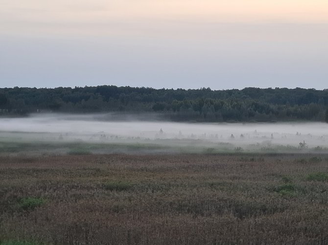 Jurgitos Bruniuvienės nuotr. / Novaraistis