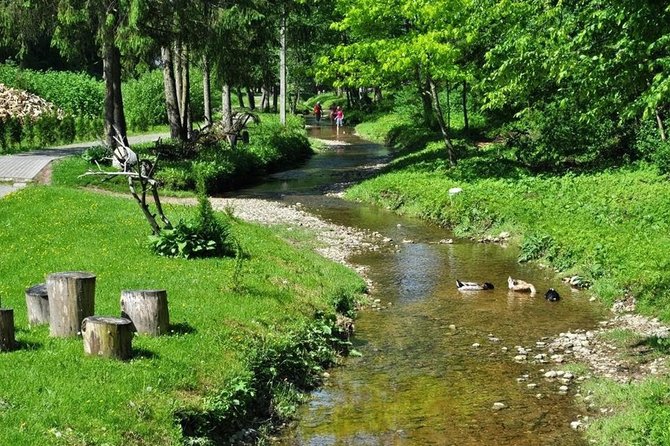 Šakių TVIC nuotr. / Vaiguvos upė-gatvė