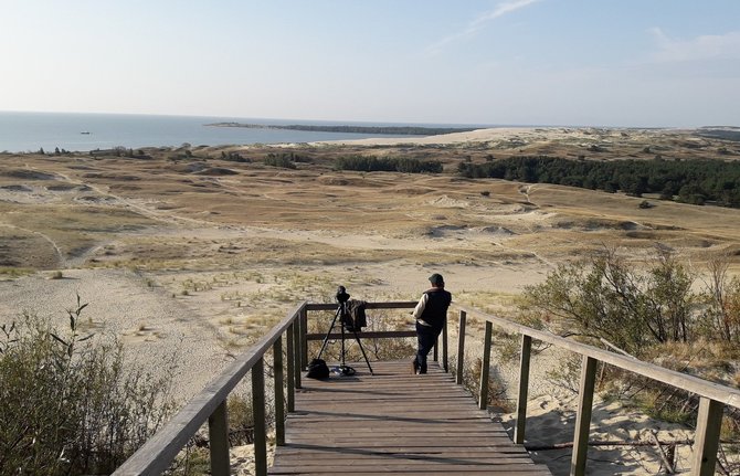 Valstybinės saugomų teritorijų tarnybos nuotr. / Parnidžio kopos regykla