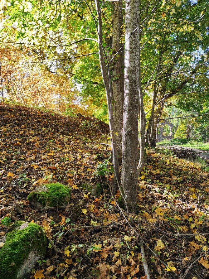 Šarūno Subatavičiaus nuotr. / Akmens mūro sienos likučiai