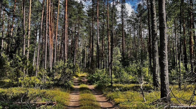  „Po kelionės“ nuotr. / Dažniausiai takas atrodė maždaug taip