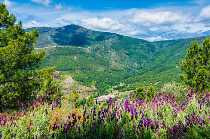 Shutterstock nuotr. / Ekstremadūra, Ispanija