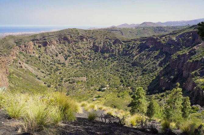 Pranešimo autorių nuotr. / La Caldera de Bandama krateris, Gran Kanarija