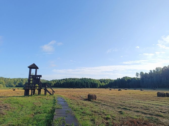 Veisiejų regioninio parko archyvo nuotr. / Atlikti gamtotvarkos darbai šalia gamtinio tako 2024 m. 