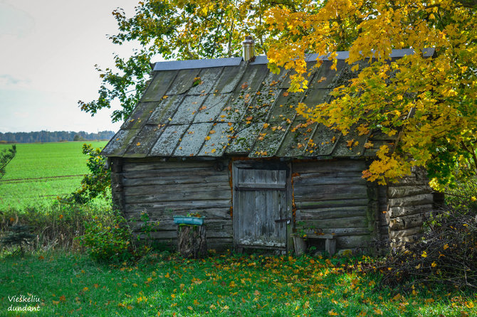 „Vieškeliu dundant“ nuotr. / Žybartų kaimas (Radviliškio r.)