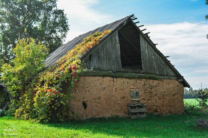 „Vieškeliu dundant“ nuotr. / Žybartų kaimas (Radviliškio r.)