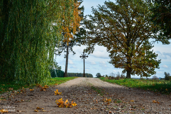 „Vieškeliu dundant“ nuotr. / Žybartų kaimas (Radviliškio r.)